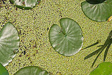 《永恒空间2》2022年更新路线图 2023年初正式发售